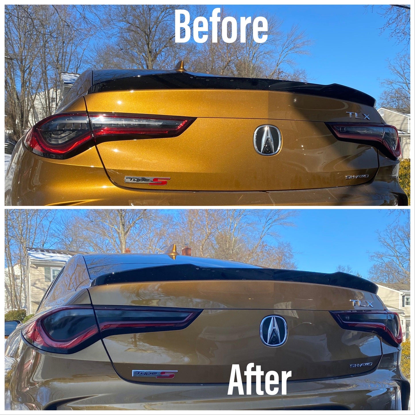 21+ TLX Rear Tint Blackout Package - ZSPerformance