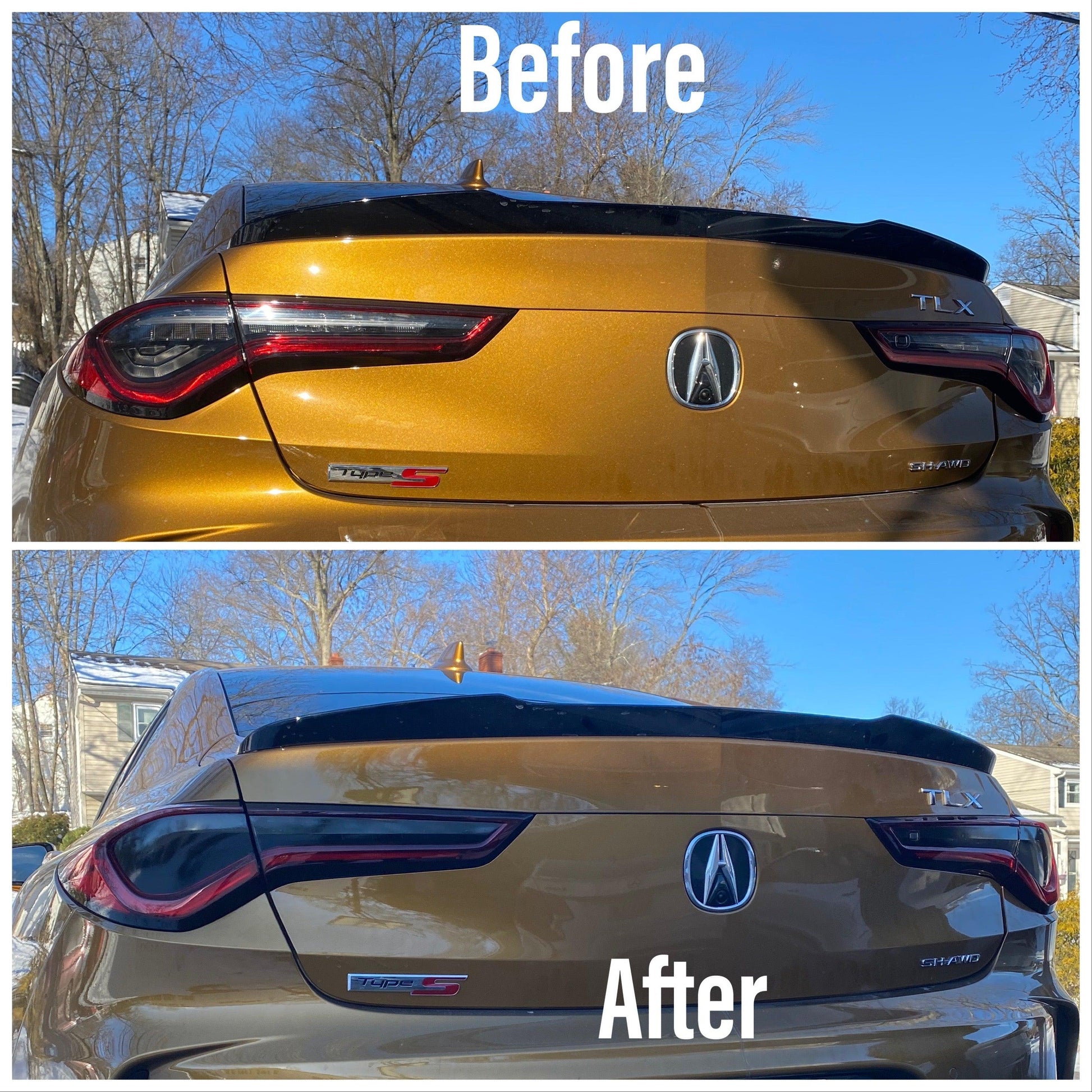 21+ TLX Rear Tint Blackout Package - ZSPerformance