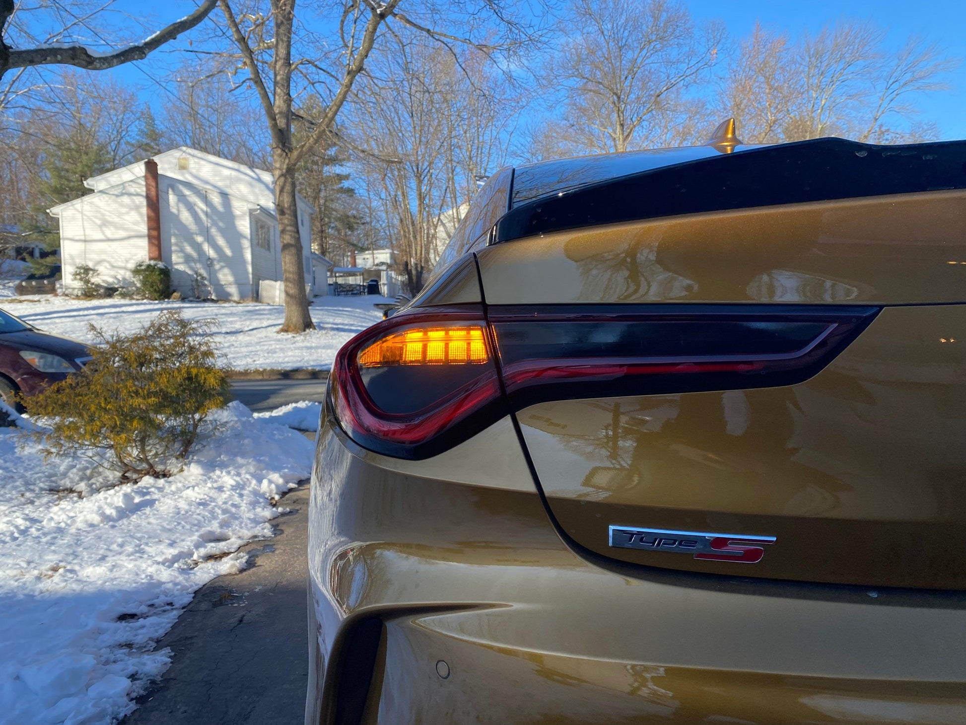 21+ TLX Rear Tint Blackout Package - ZSPerformance